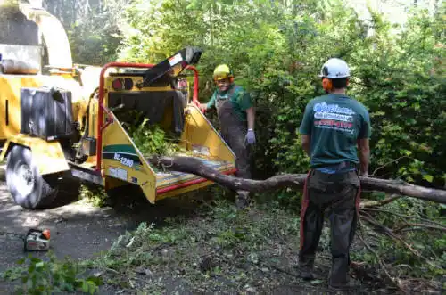 tree services East Newnan